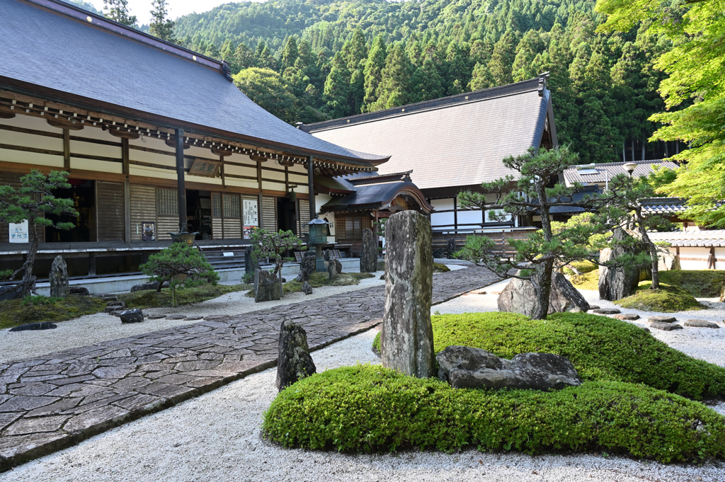 真夏の枯山水庭園１