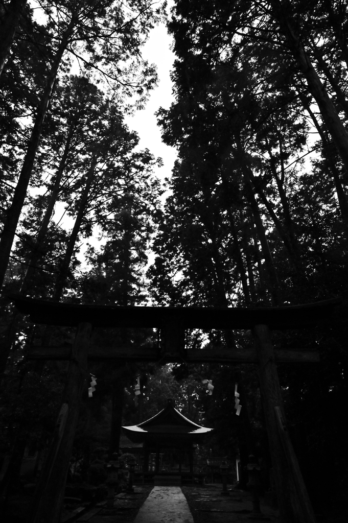 夕闇雨の神社2