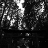 夕闇雨の神社2