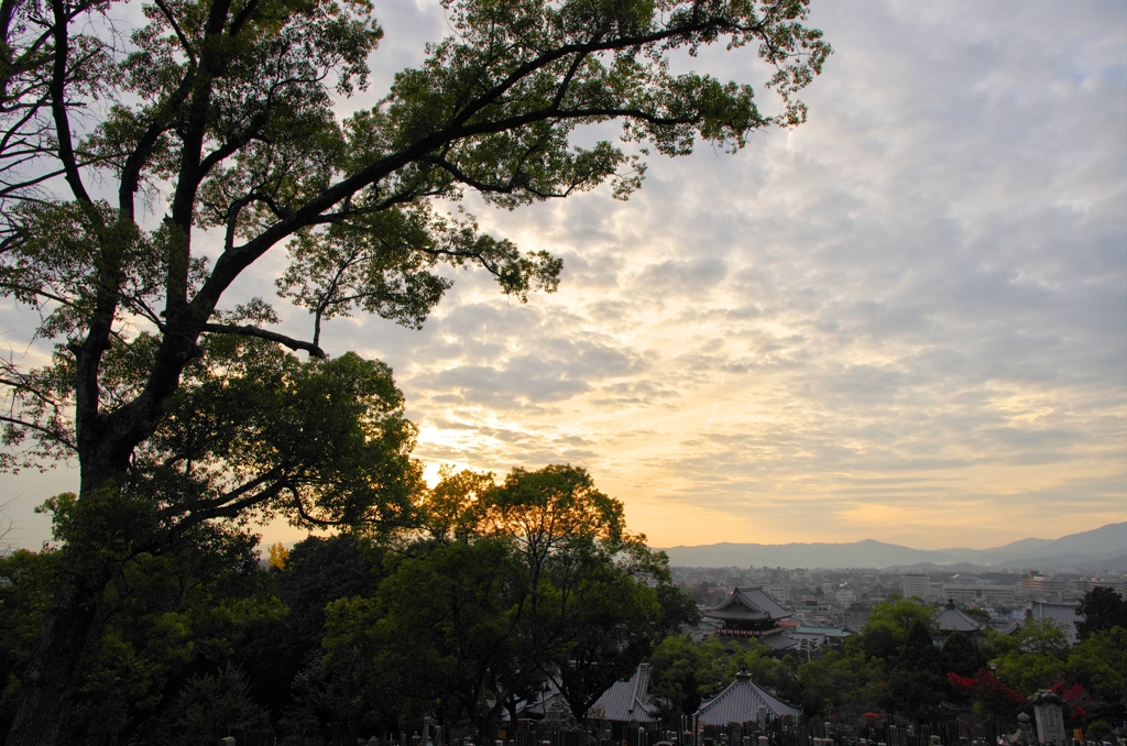 晩秋　金戒光明寺からの夕暮れ