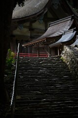 神々しく　２