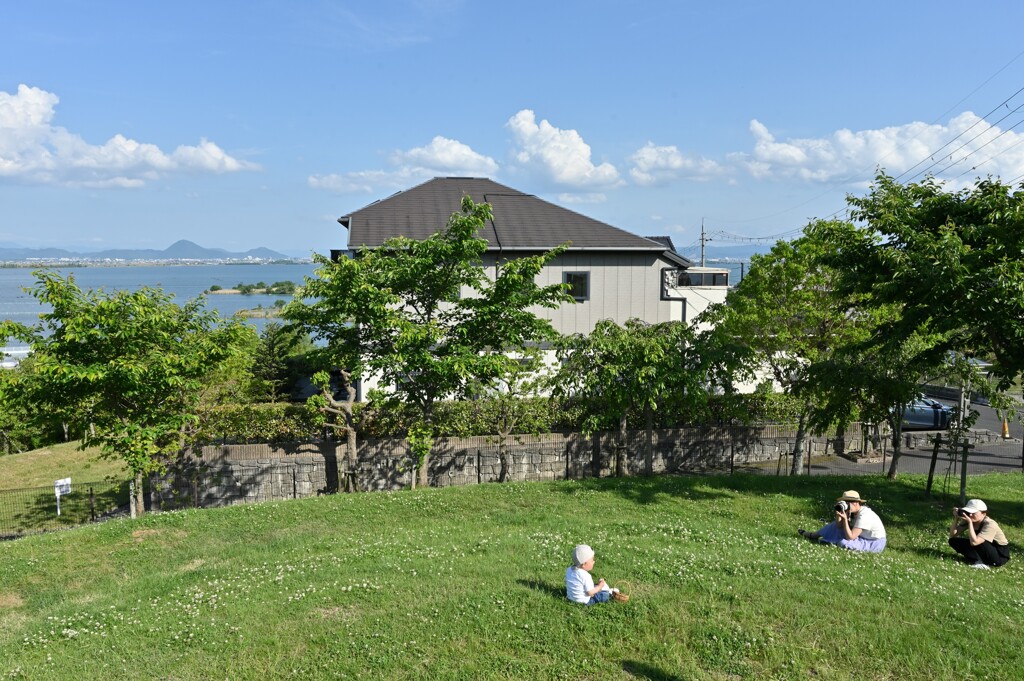 ベービーモデル