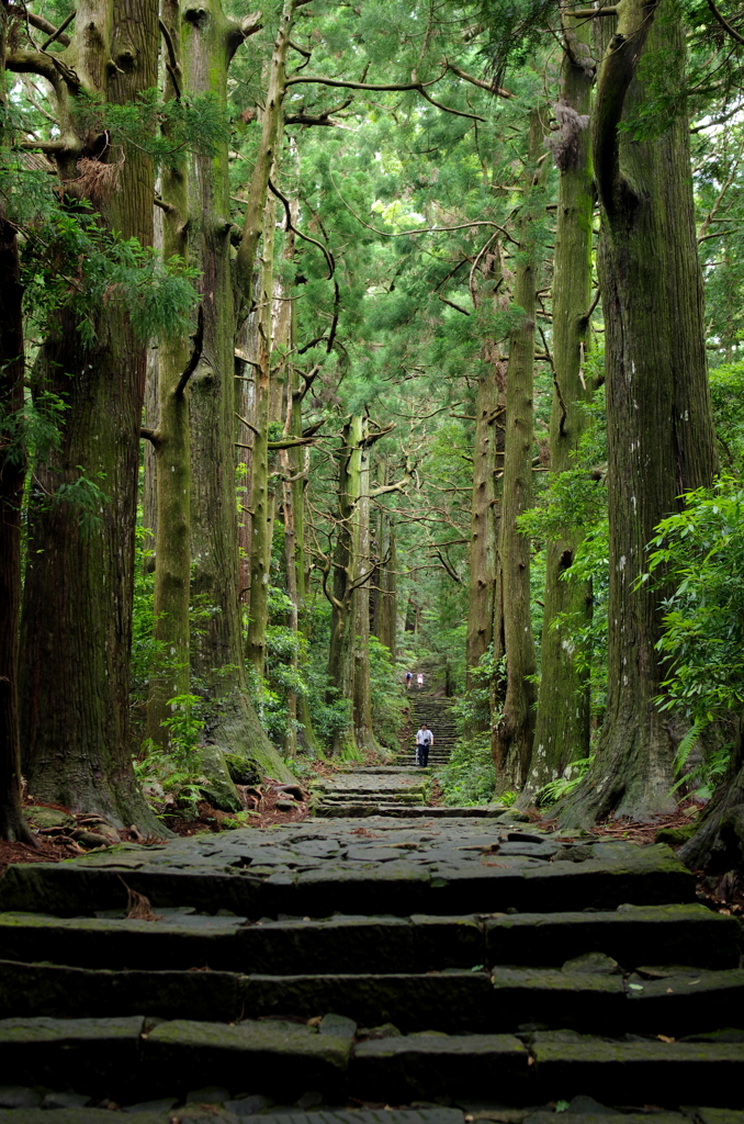 熊野古道大門坂