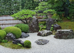 雨の方丈庭園　