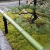 雨の大徳寺 高桐院入り口にて