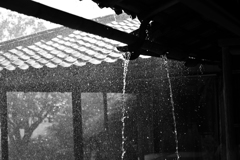 雷雨１