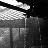 雷雨１