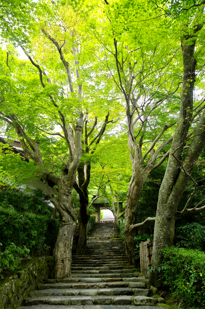 寂光院 石段 ２