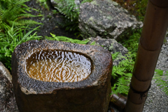 雨の曼殊院