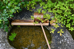 小雨の金福寺