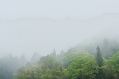 霧雨