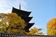 晩秋の東寺にて　