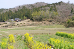 山里　丹波路