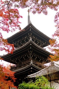 紅葉の三重塔