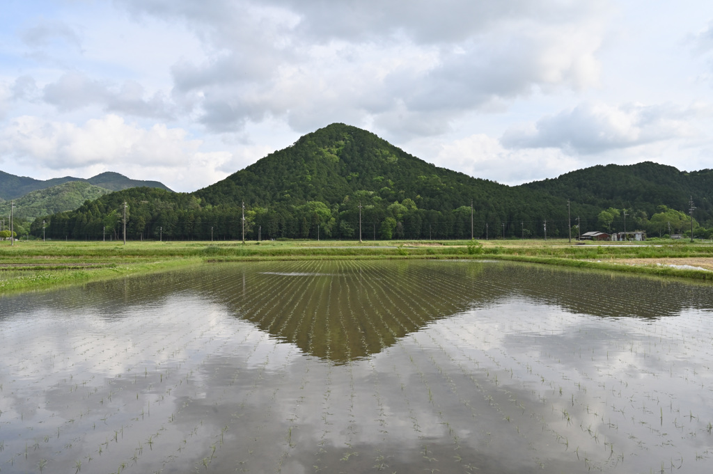 長閑２　丹波富士
