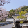 龍野城(霞城)埋門