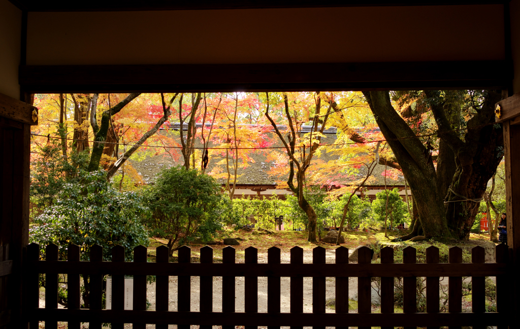 上賀茂神社にて