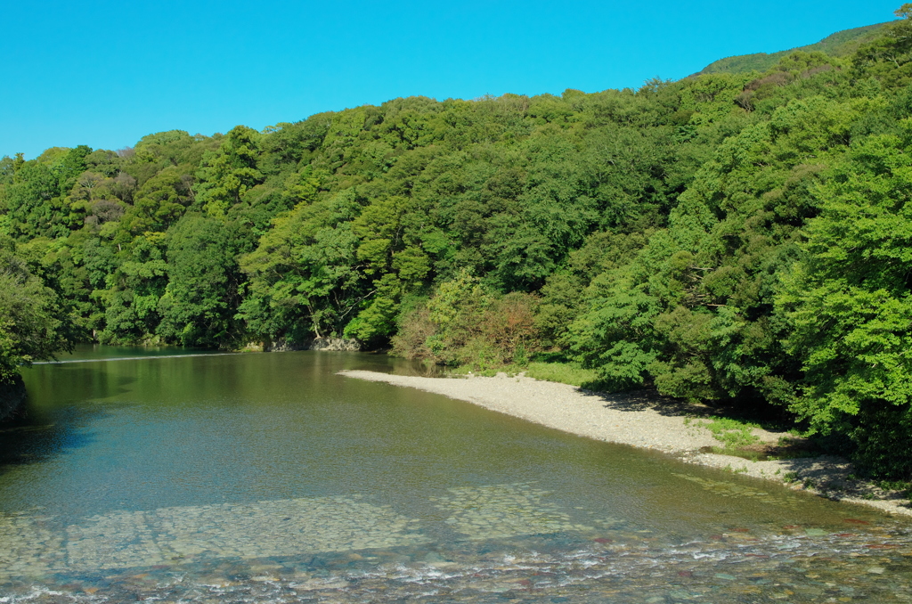 内宮の森と五十鈴川