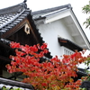 色づき始めた雨の興臨院 　