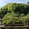泰平閣２