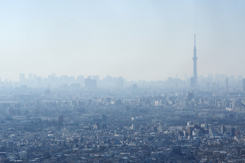 霞の東京都心　　