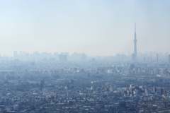 霞の東京都心　　