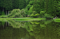 湖北　静寂の池