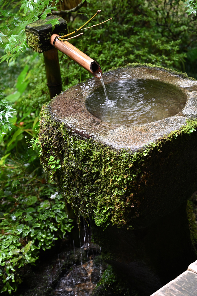 雨の三千院　手水