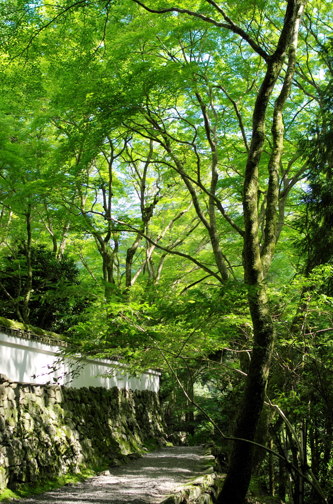 参道