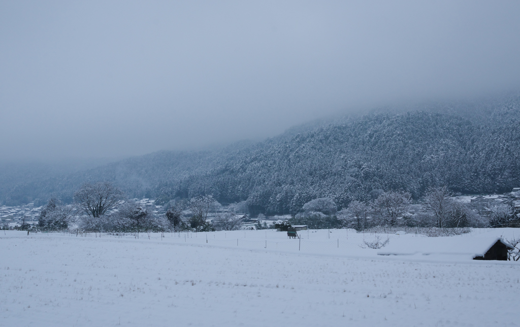 雪の大原の里