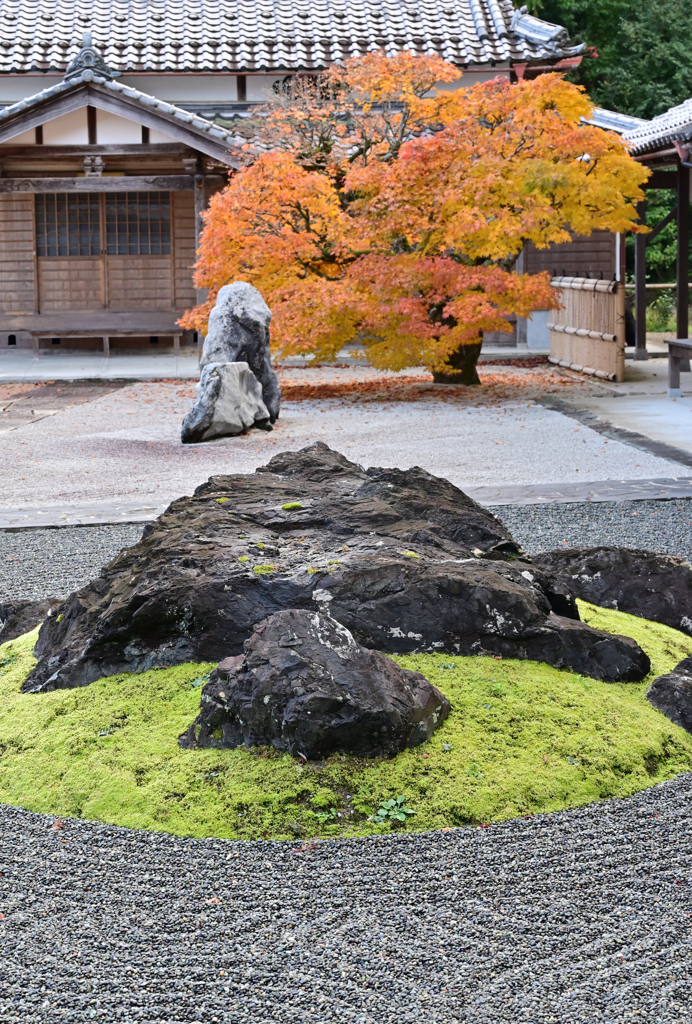 古刹 晩秋の庭２