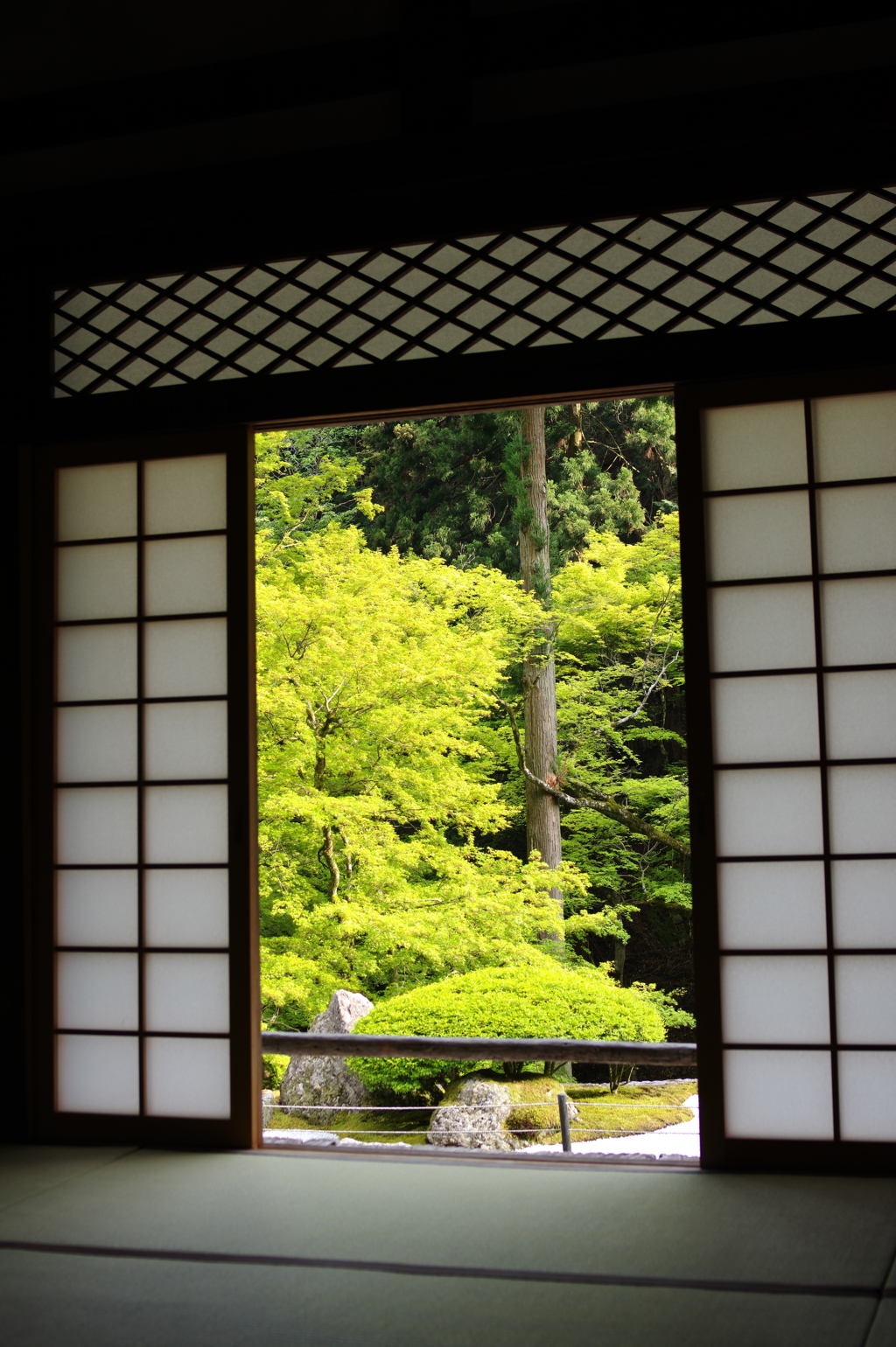 新緑の山寺２