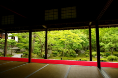 梅雨時の圓光寺にて