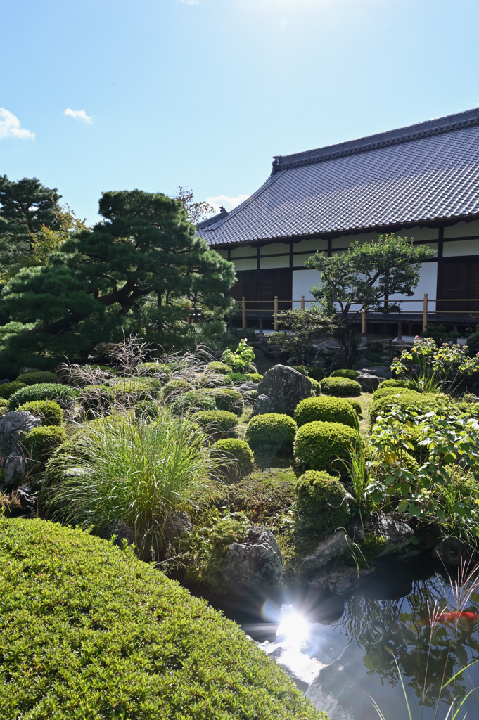 芙蓉池