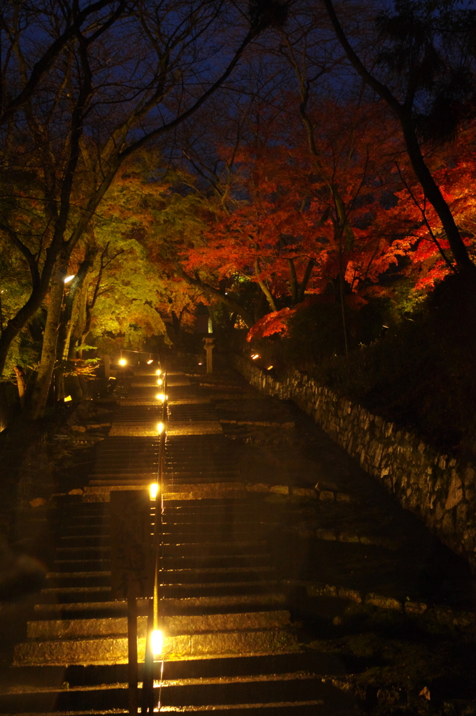 宵闇の紅葉