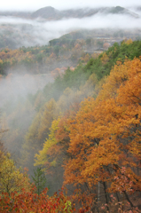 霧雨の開田高原