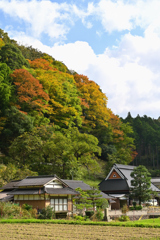 秋の訪れ