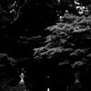 夕闇雨の神社１