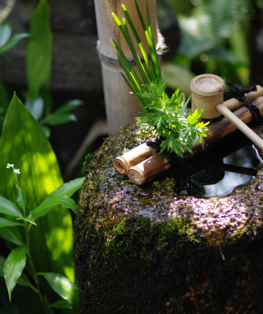 木洩れ日の手水鉢