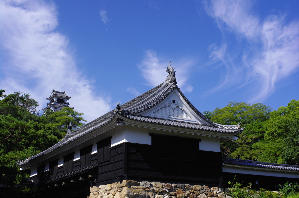 秋空の高知城