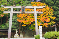 坊村の秋２