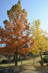 近所の公園にて　