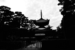 安樂壽院南陵