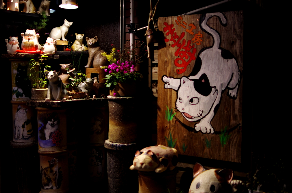 にゃらまちにて