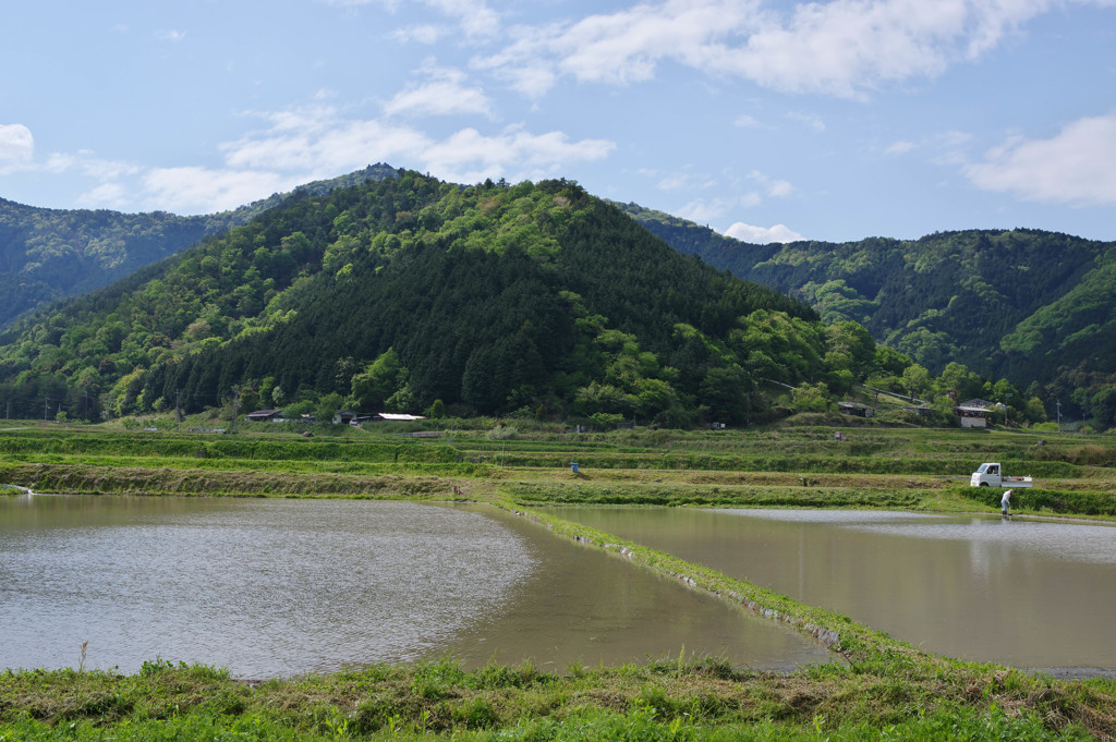 田植え前