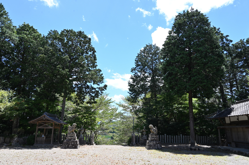 猛暑の神社２