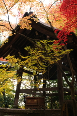 秋の鐘堂