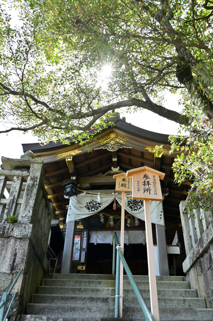 太郎坊宮 阿賀神社本殿
