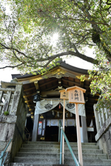 太郎坊宮 阿賀神社本殿