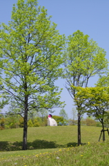 春うららか